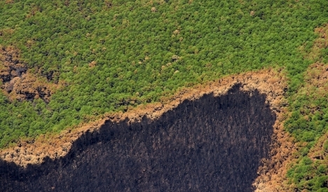 Drygt en månad efter storbranden finns det fortfarande glöd i underjorden.