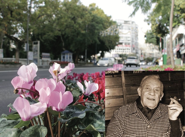 Ricardo Soriano är aristokraten som satte Marbella på turistkartan och som själv hamnade på stadskartan, då han fått huvudgatan uppkallad efter sig. Foto: Shutterstock/Arkiv