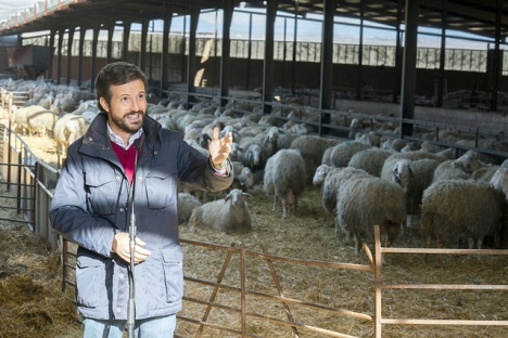 Boskapsuppfödarna stormade rådhuset i Lorca efter att Partido Popular, med partiledaren Pablo Casado i spetsen, i flera veckor fört en hätsk kampanj mot regeringen. Foto: PP