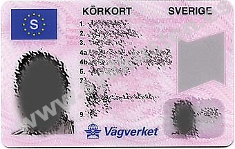 Utlandssvenskar måste själva hålla reda på när deras körkort går ut.