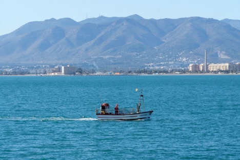 Hälften av fiskebåtarna på Costa del Sol förblir i hamn, då det är dyrare att lägga ut näten.