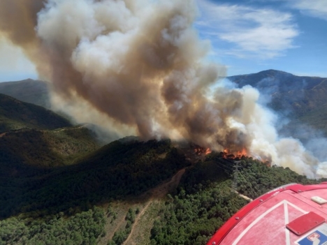 Branden har utbrutit i ett svårtillgängligt område med främst kastanjeträd. Foto: Infoca