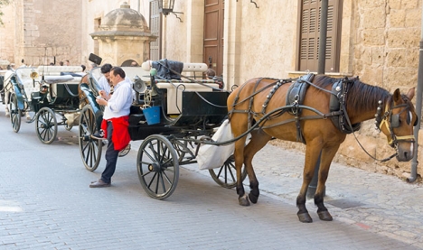 Den här synen i Palma stad ser ut att ha sina dagar räknade.