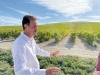 Manuel Delgado, vingårdschef på González Byass, visar odlingar av pedro ximénez.