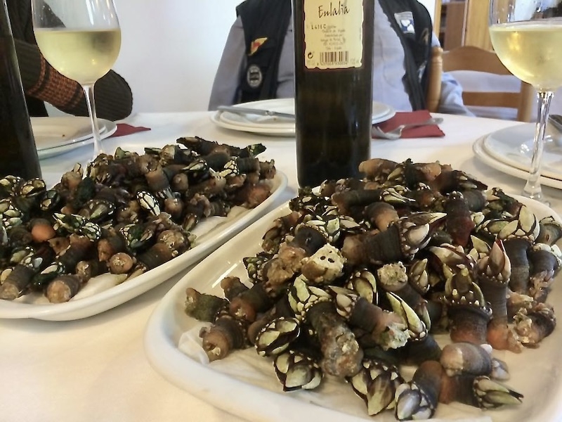 Percebes, långhalsar, är en riktig specialitet som med fördel intas i Galicien och verkligen smakar hav!