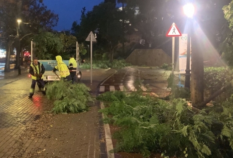 Kommunala arbetare fick jobba in på småtimmarna med att rensa upp efter tornadon. Foto: Ayto de Marbella