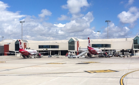 Invasionen av flygplattan orsakade omfattande trafikstörningar på Palma flygplats.