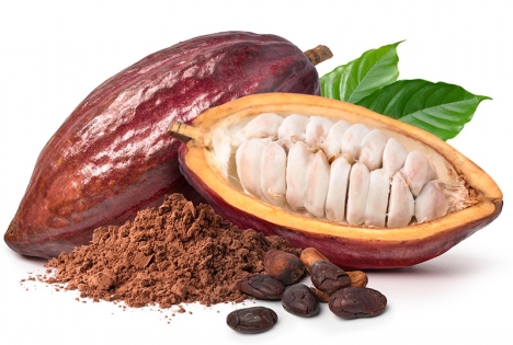 Flera försök har tidigare gjorts för att odla kakao i Europa, men det är i Málaga som de lyckats för första gången.