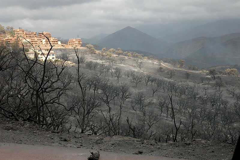 Konsekvenserna av branden vid området La Mairena, i östra Marbella.