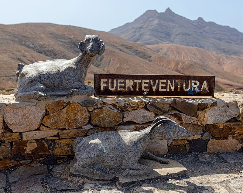 Produktionen av getmjölk och ost på Fuerteventura är den största av alla öarna.