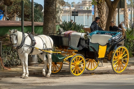 Arkivbild av hästdroska i Málaga.