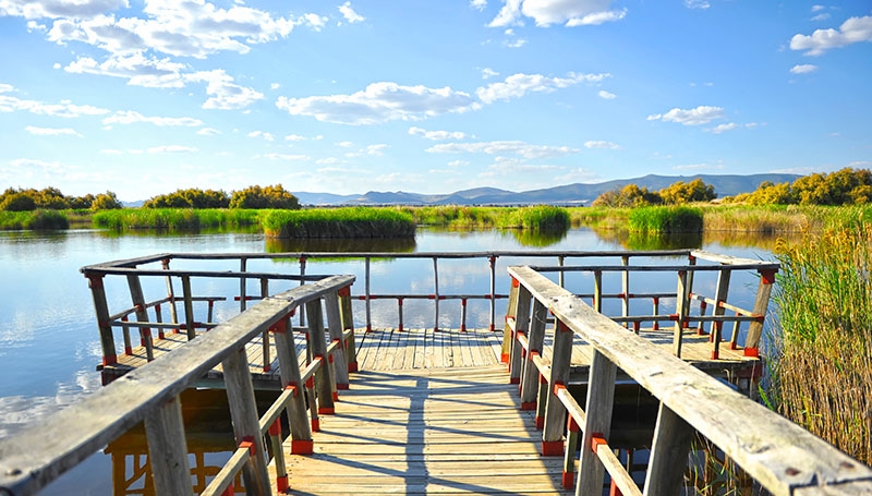 Våren är bästa årstiden för att uppleva de spanska våtmarkerna, som nationalparken Tablas de Daimiel i Castilla-La Mancha.
