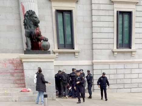 Målarfärgen föll bland annat över en av de lejonstatyter som står vid entrén till riksparlamentet. Foto: @FuturoVegetal