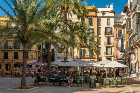 Tjuvarna misstänks ha länsat minst ett halvdussin bostäder i centrala Palma.