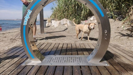 Hundar måste tills vidare hålla sig borta från stranden i Benalmádena. Foto: Ayto de Benalmádena