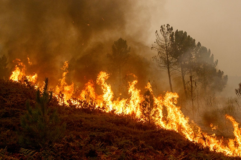 Arkivbild från en naturbrand i Galicien.