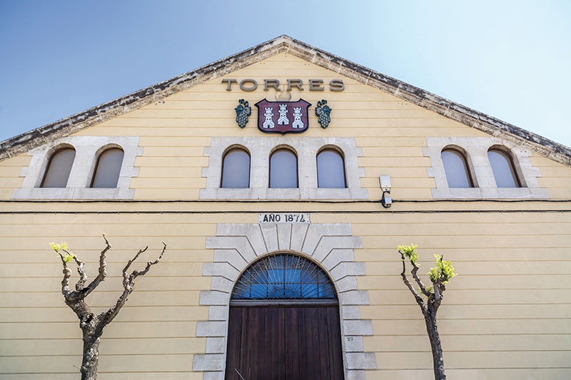 Familjen Torres har sedan starten 1870 varit en dominerande aktör inom den spanska vinbranschen. 