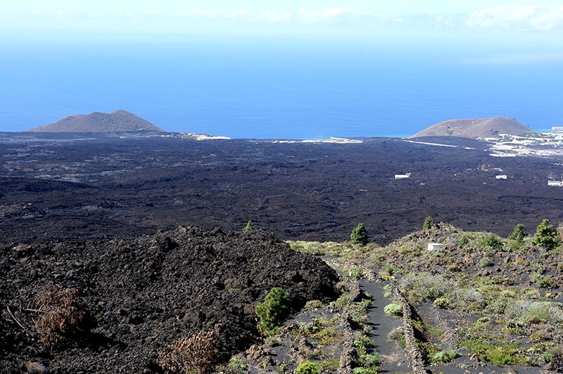 Det som för invånarna på sydvästra La Palma är omfattande förödelse utgör för geologer en unik möjlighet att studera effekterna av vulkanutbrott.