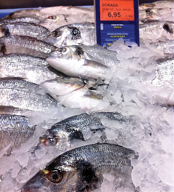 På senare år har två fisksorter tagit täten som de mest populära, jämte de traditionella sardinerna och boquerones. Det är dels “lubina” (bass) och “dorada” (dorado).