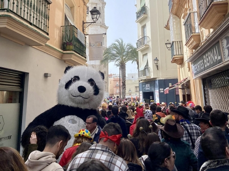 Mycket folk och många roliga kostymer på karnevalen i Cádiz. 