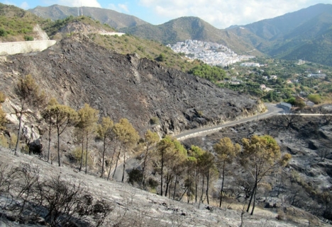 Sex kommuner på västra Costa del Sol drabbades av storbranden 2012, bland dem Ojén.