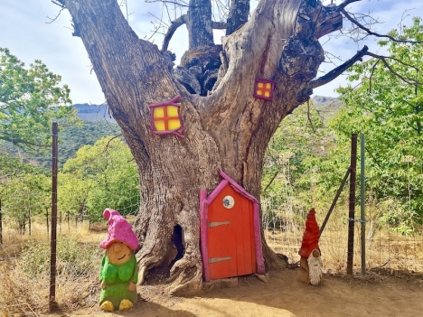 El Bosque Encantado (Den förtrollade skogen) är en kort vandringsled i byn Parauta med barnvänliga skulpturer i naturen av konstnären Diego Guerrero.