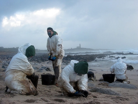Saneringsarbetet vid den galiciska kusten utfördes till största delen av tusentals frivilliga, då de spanska myndigheterna försökte tona ner konsekvenserna av förlisningen av oljetankern Prestige 2002.