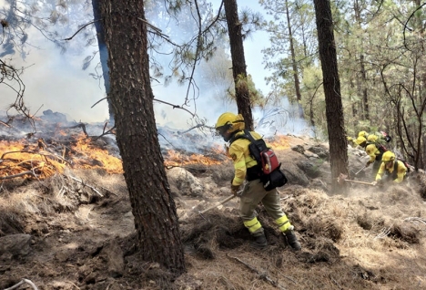Brandmännen jobbar frenetiskt med att bromsa det som nu är den största branden hittills i år i hela Spanien. Foto: 1-1-2 Canarias