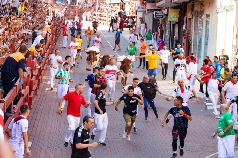 Även om antalet tjurfäktningar sjunkit kraftigt i Spanien de senaste åren så har tendensen bromats och främst kommuner där Partido Popular och Vox styr främjar såväl fäktningar som andra former av festligheter där tjurar brukas.