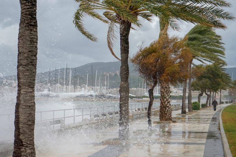 På flera håll på Mallorca har det registrerats den största mängden nederbörd under ett dygn någonsin. (Arkivbild)