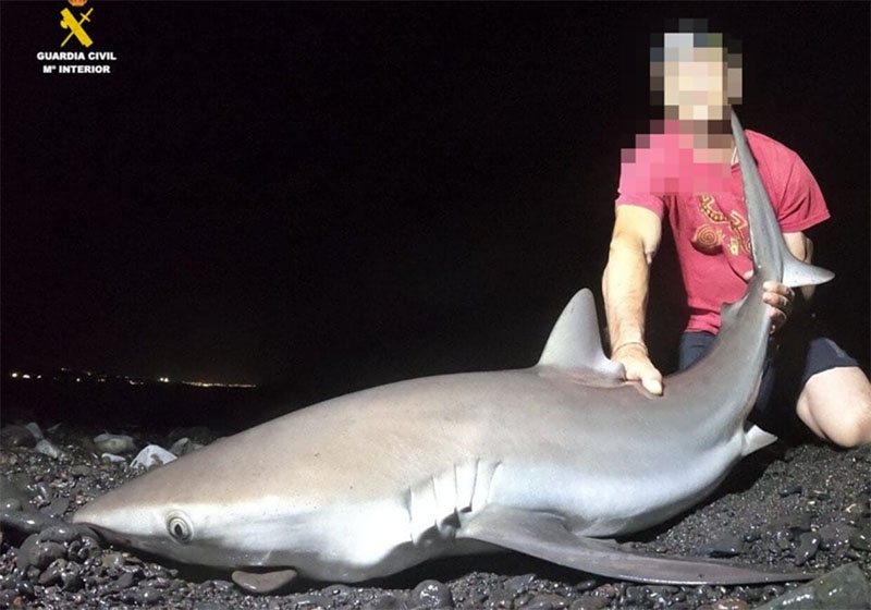 Den nu dömde på en av de bilder som visar honom med en fångst av en skyddad hajart. Foto: Guardia Civil