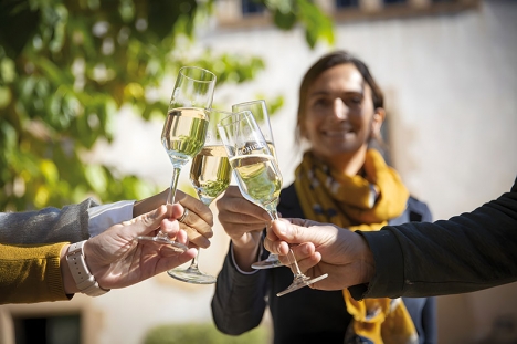 Cava dricks inte minst vid festliga tillfällen i Spanien. Den bör serveras väl kyld och i höga glas, för att bevara aromen och bubblorna. Det finns en mängd varianter, från extremt torr till söt.