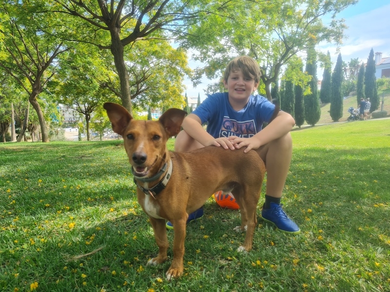 Ja, ni ser ju själva - världens finaste hund var han - vår Zingo