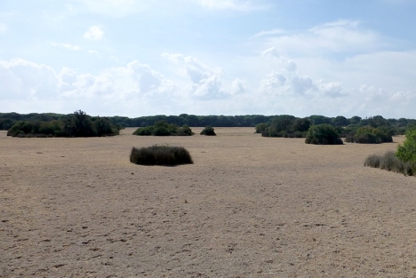 Arkivbild på uttorkad våtmark vid Coto de Doñana.