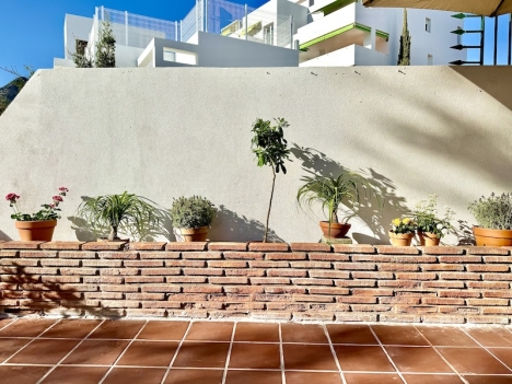 Den andalusiska sommarsolen är inte nådig för plantorna och det gäller att veta vad som har en chans att överleva och inte.