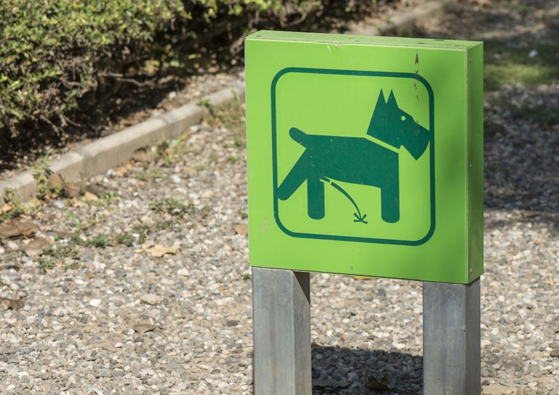 Det kan bli mycket kostsamt att lämna hundspill i Benalmádena.