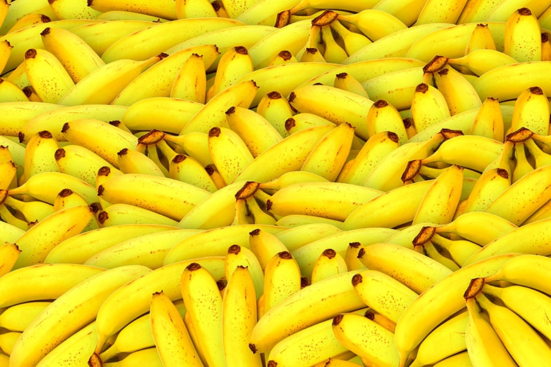 Veckans blogg går helt bananas!