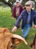 Uppfödaren Juan Puerta Jimenez åker sin vanliga runda på Dehesa el Moral, med Antonio Fransisco Caero Rita, för att kontrollera att alla tjurar mår bra.