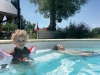 På en fransk Bed&Breakfast kan man finna trevliga överraskningar som en pool, djur och andra barn att leka med. Foto: Privat