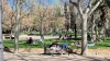 Parken kring Templo de Debod ger dig ett ögonblick av stillhet i hjärtat av Madrid. Den bjuder också på storslagna vyer. Foto: Ann-Christine Reimer