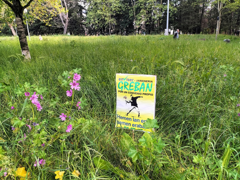En långvarig trädgårdsstrejk i Vitoria har lett till en sällan skådad blomstring.