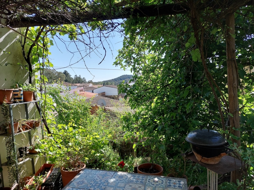 Vinrankor, utsikt över bergen, hoande nattugglor, det var här vi skulle stanna.