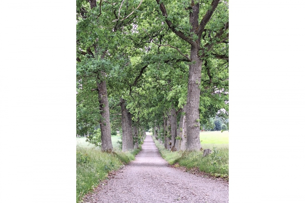 Nu ska den spansksvenska familjen testa livet i Sverige under minst ett år.