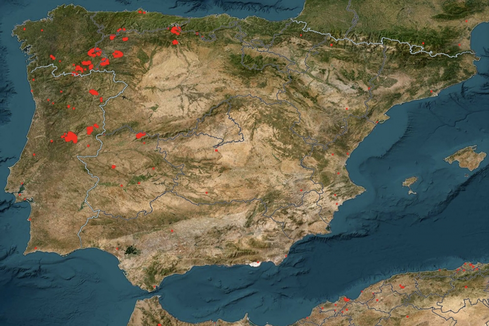 Kartan visar de fortsatt drabbade områdena i Spanien och Portugal den 19 augusti. Källa: NASA