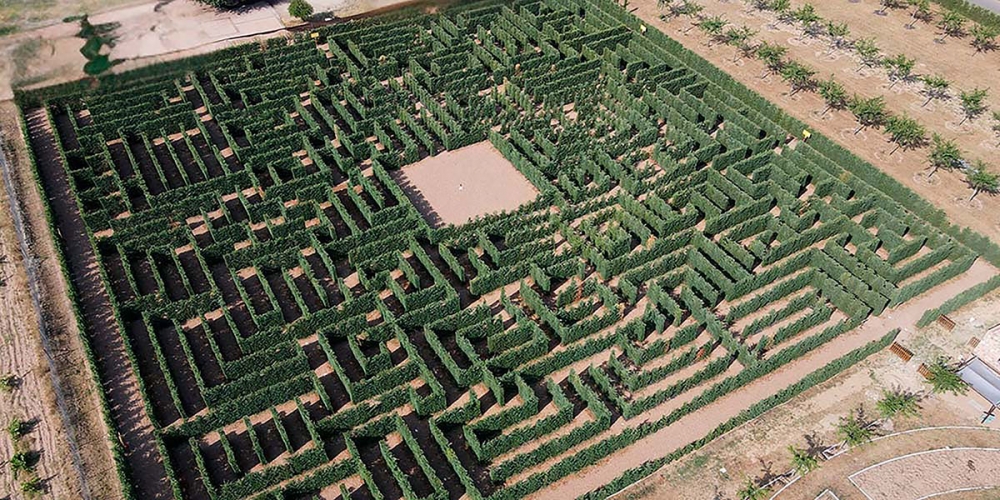 Till Méridas många sevärdheter sällar sig nu även en sällsynt och ytterst vilseledande upplevelse.