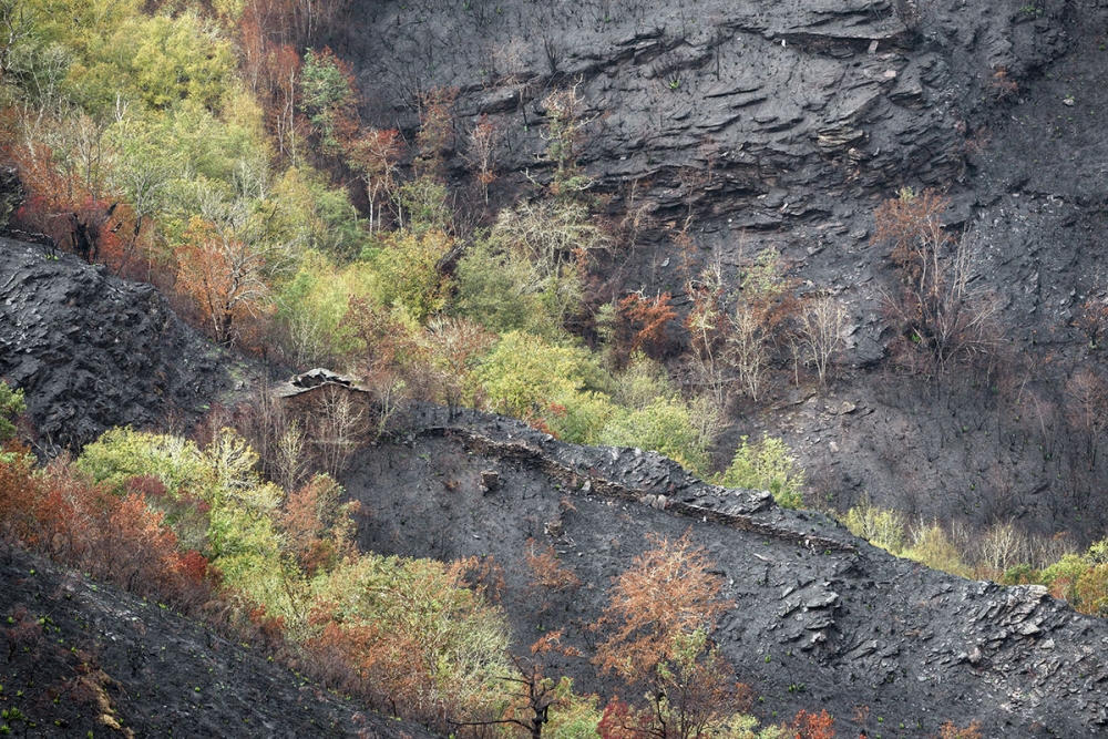 Askmassor från sommarens skogsbränder i Ourense har dragits med av regn och förorenar nu både vattendrag och dricksvatten i flera byar i Valdeorras-distriktet.
