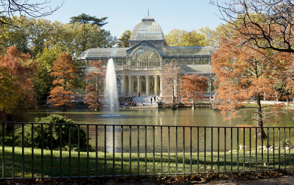 Ett fall av fågelinfluensa i en påfågel i Madrids största stadspark har lett till skyddsåtgärder, men myndigheterna bedömer att allmänheten inte löper någon akut risk.