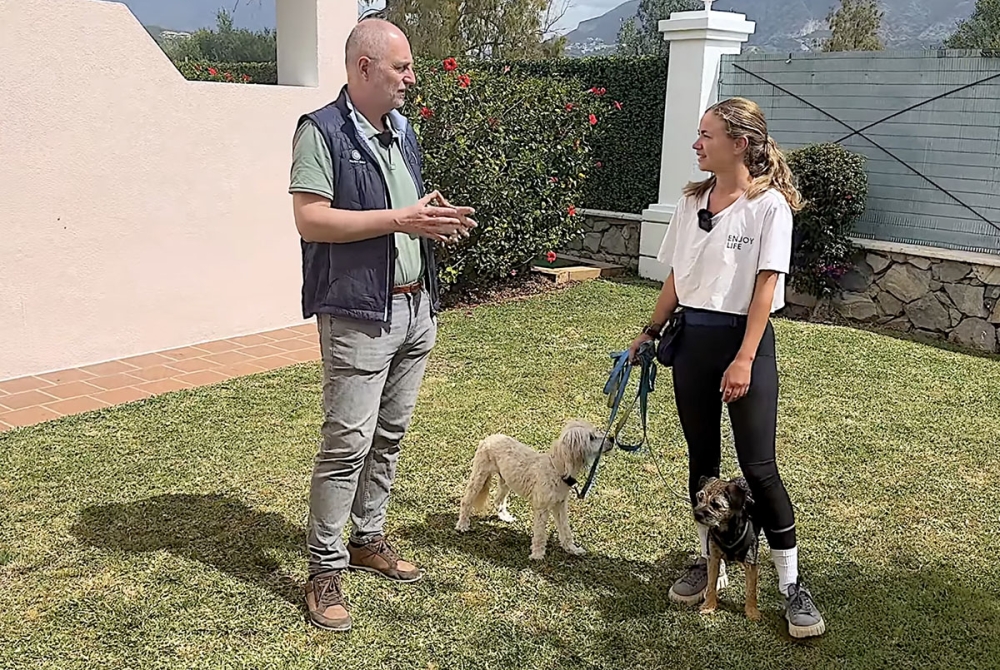 Numera är de flesta jag intervjuar yngre än jag, några inte ens hälften så gamla.