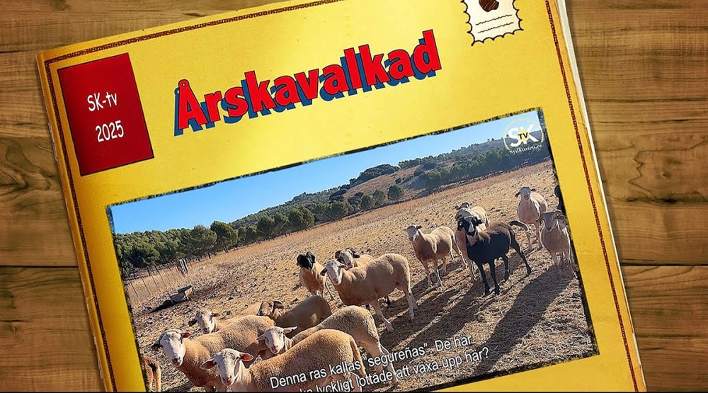 Klicka nedan f&ouml;r att se videon.