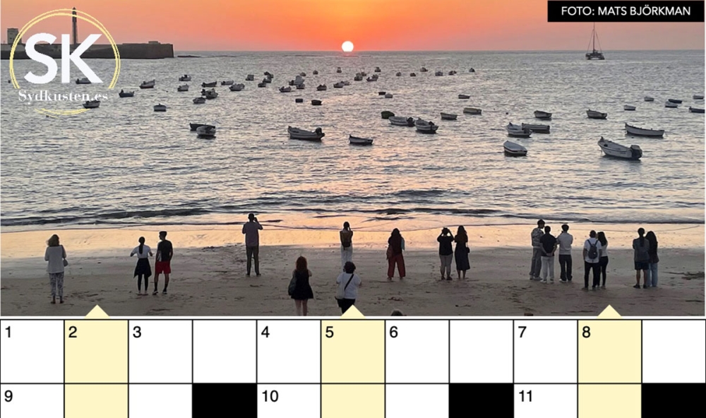 Webbkrysset &auml;r en av m&aring;nga plus-tj&auml;nster f&ouml;r prenumeranter.